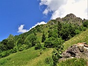 66 Dai pascoli di Passo Barbata vista sulle creste d'Alben